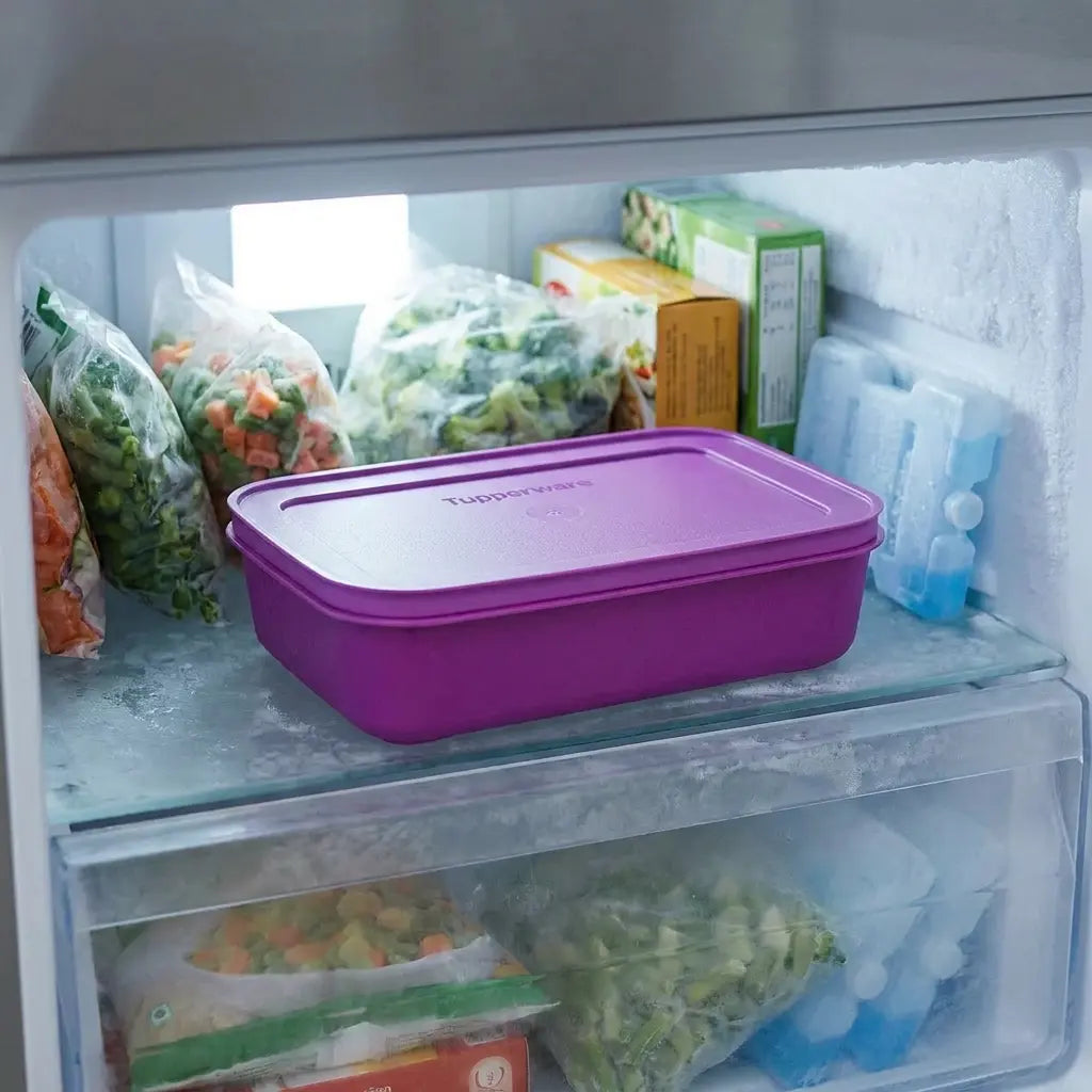 Eiskristall Gefrierbehälter 1 Liter G036 von der Marke Tupperware / Behälter in der Farbe Lila / Ideal zum Einfrieren und Aufbewahren / Flache dose / Hier direkt online kaufen