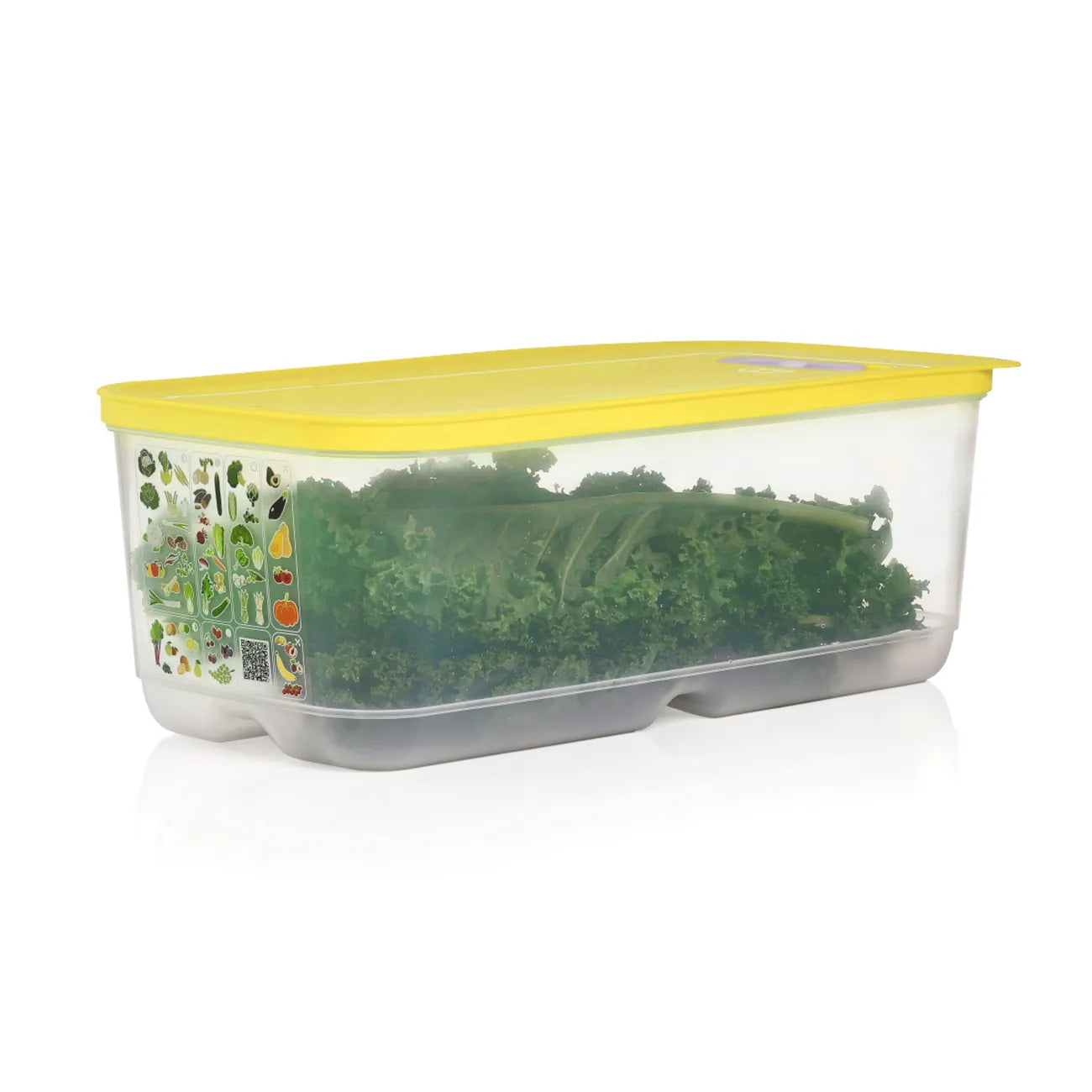 Tupperware KlimaOase 6,1 l – Obst & Gemüse länger frisch halten – myTupp