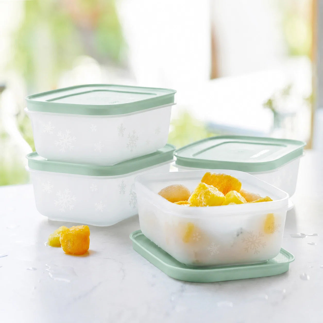 Gefrierbehälter 450ml | 4 Stück | Eis-Kristall | Salbei
