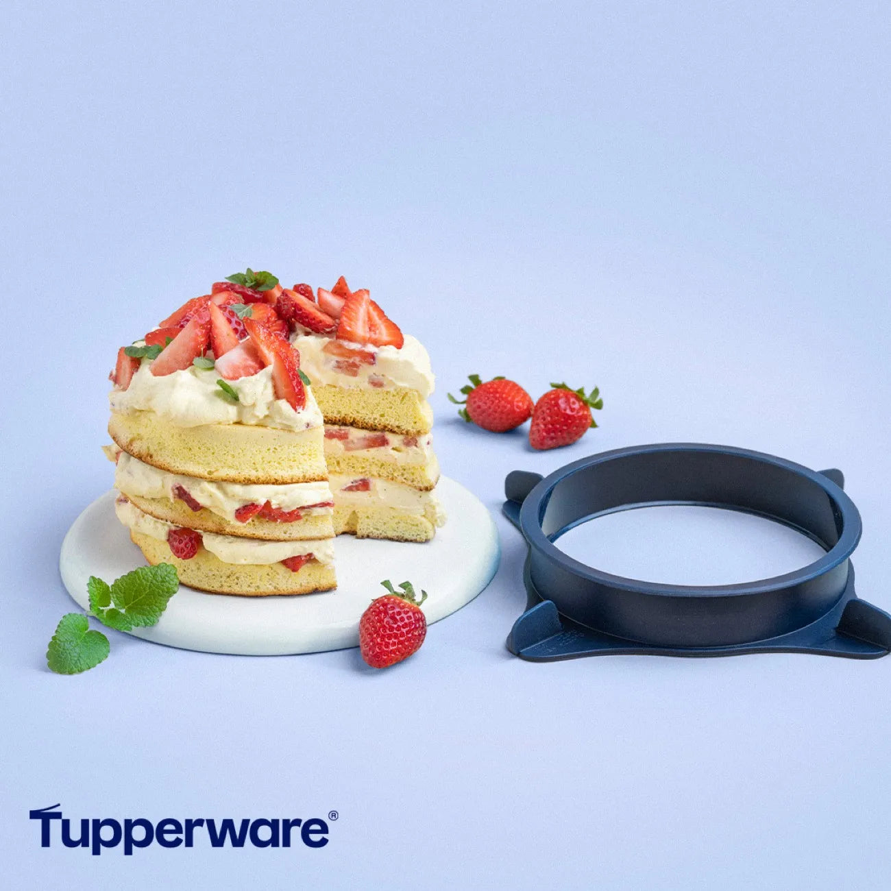 Backring | MicroPro® Ring | ø 15,2 cm