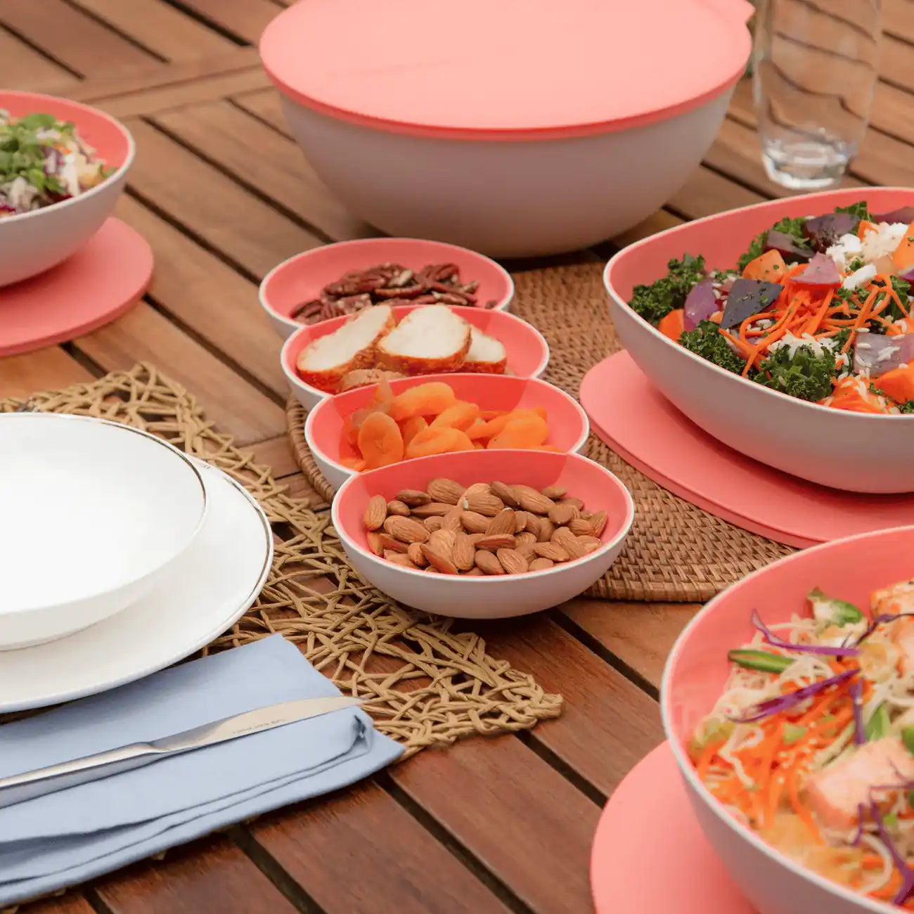 Tupperware Allegra Servier-Perle Lachs gefüllt mit Pekannüssen, Brot, Aprikosen und Mandeln, Allegra-Set im Freien