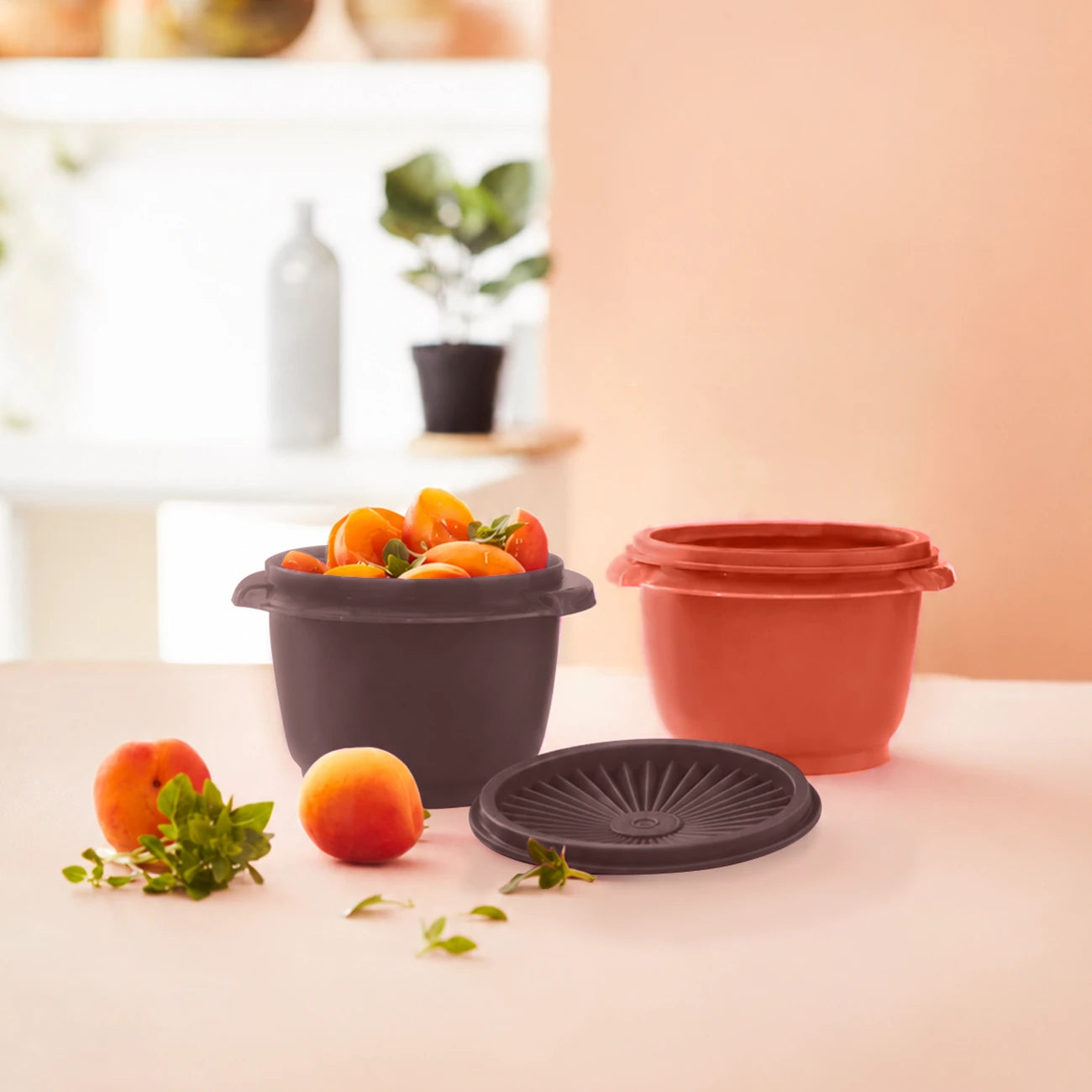 Tupperware Kleine Sonnenschüssel Duo 600 ml in Aubergine und Terracotta mit Sonnendeckel