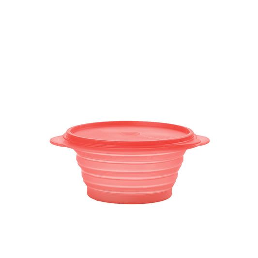 Mini Max 700ml von der Marke Tupperware / in der Farbe Rot / Tupperdose / Brotdose / Lunchbox / Ideal für Unterwegs / zusammen faltbar / Hier direkt online kaufen 