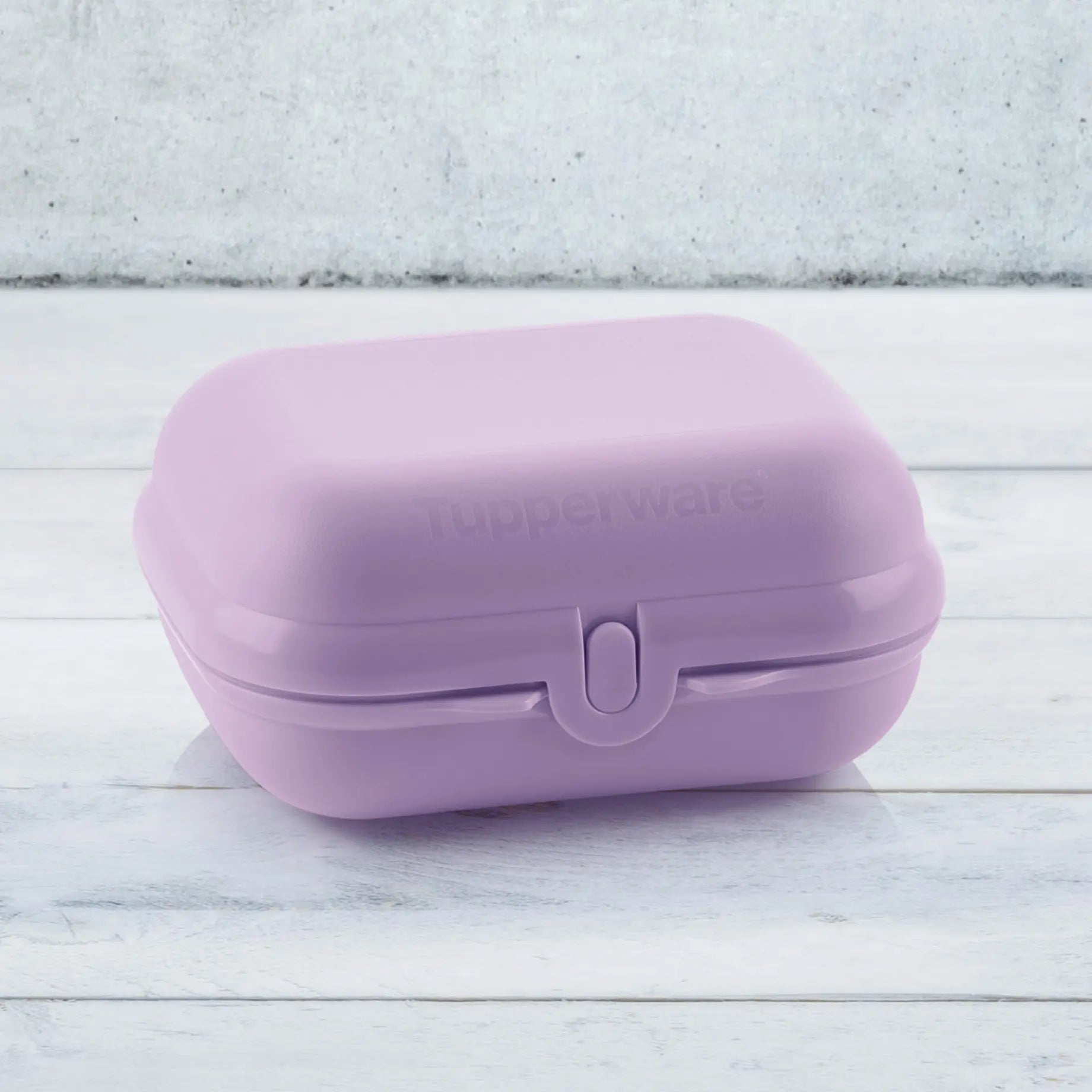 Eco+ Großer Twin Oyster in der Farbe Lila von der Marke Tupperware / handliche Brotbox / Perfekt für Schule und Kindergarten / auch Praktisch als Medikamentenbox / Leicht zu öffnen / Klassiker für Unterwegs / Umweltfreundlich aus Eco+ Material / Hier direkt online kaufen 