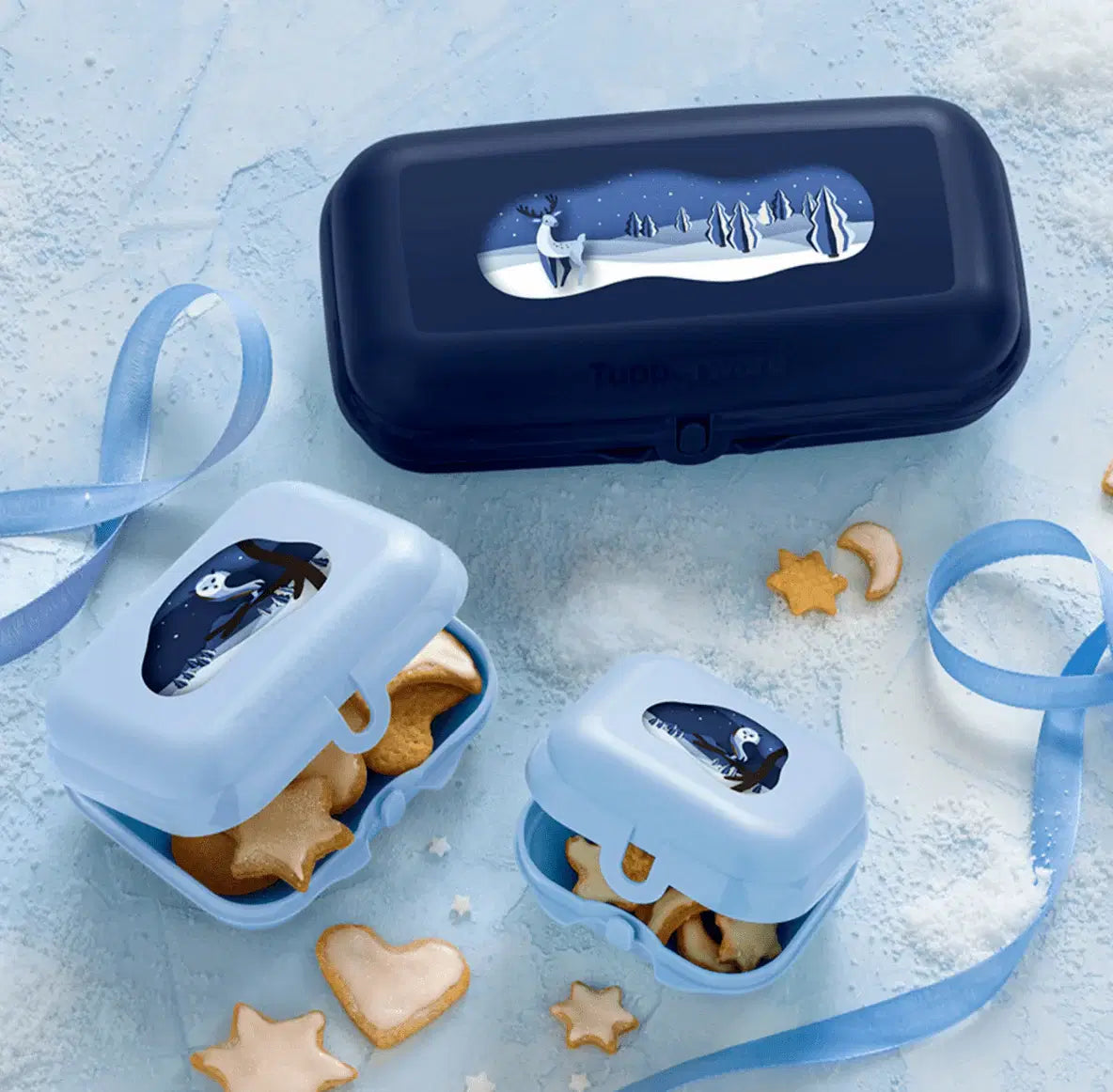 Eco Maxi Twin Set Oyster Boxen Trio von der Marke Tupperware / mit Winterwald Motiv / Perfekt Ausgerüstet für die kleine und große Stärkung Unterwegs / Perfekt zum Reisen / leicht zu Öffnen und zu Schließen / Umweltfreundlich durch vermeiden von Verpackungsmüll / super zum Transportieren / Übersicht alle 3 Boxen / Hier direkt online kaufen 