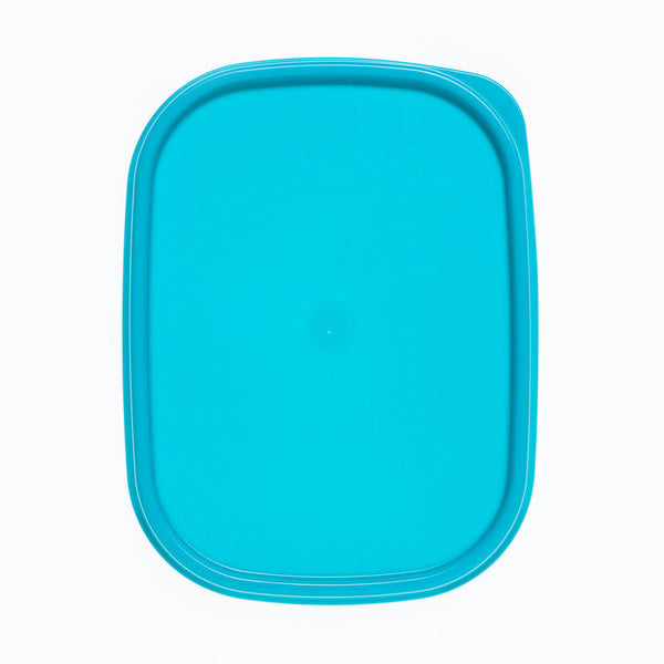 Deckel 19 cm x 14 cm Kompaktus A068/A069/A093 für Nr. 1791