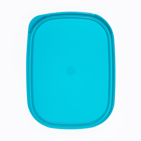 Deckel 19 cm x 14 cm Kompaktus A068/A069/A093 für Nr. 1791