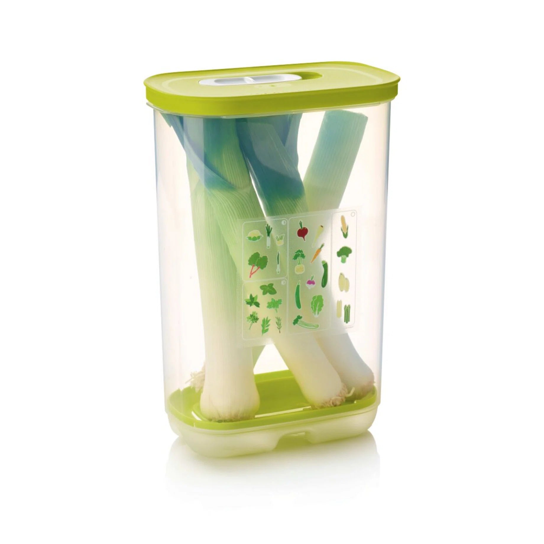 KlimaOase Vertikal von der Marke Tupperware / Perfekt für längliches Gemüse und Kräuter / Behälter mit Schiebe Regler für die Luft zufuhr / Mit integriertem Frischegitter / Vorratsbehälter / Beispielbild KlimaOase mit Lauch gefüllt / Hier direkt online kaufen