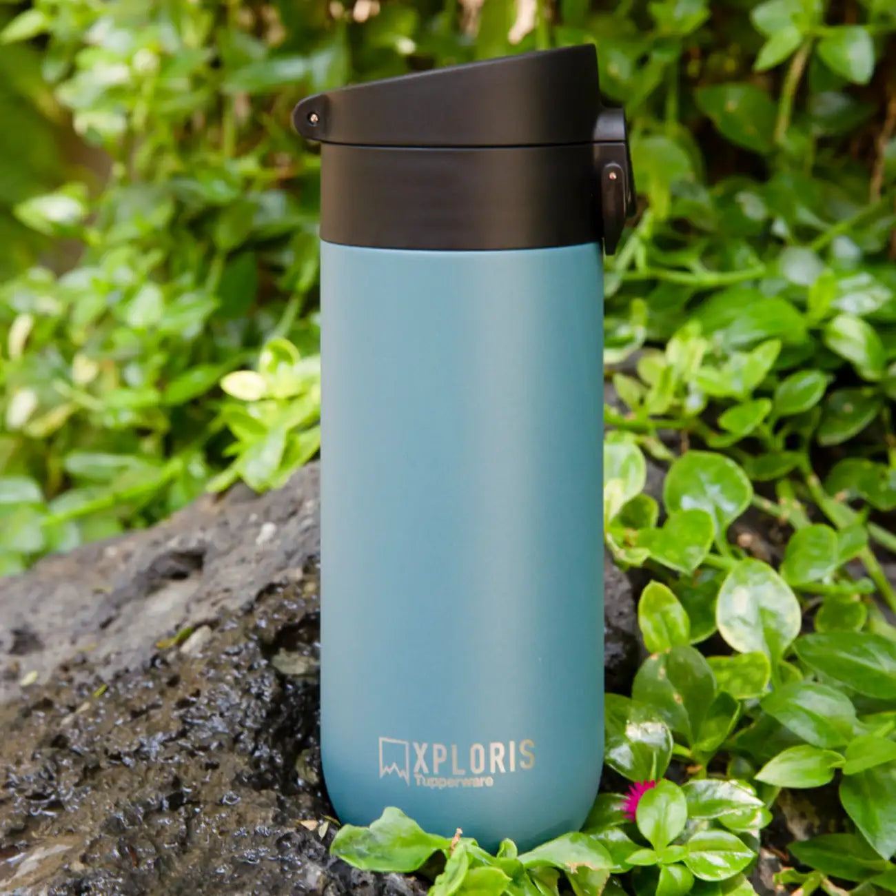 Xploris Trinkbecher 450ml von der Marke Tupperware / Stylisch und funktional / To Go Thermobehälter aus Edelstahl / Mit Sicherheitsverschluss / gut in der Hand haltbar / Hier direkt online kaufen 