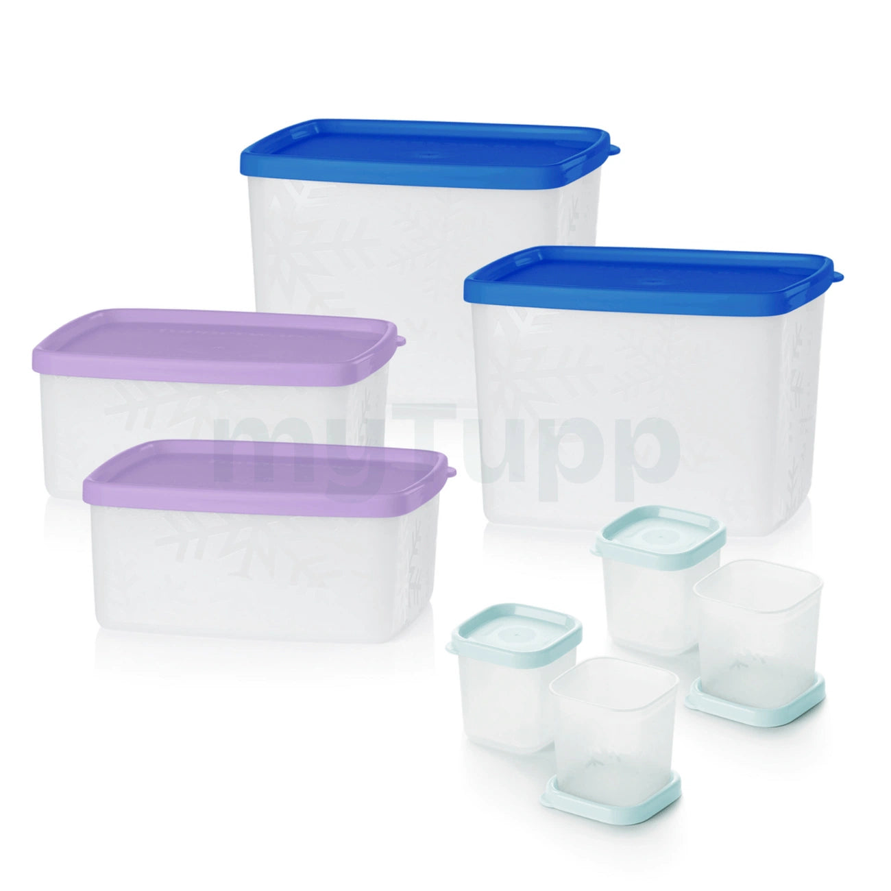 Gefrierbehälter Set Polar Stern von der Marke Tupperware / 8 Gefrierbehälter in einem Set / 3 verschiedene Größen / 4x 80ml, 2x 400ml, 2x 800ml / Hier direkt online kaufen