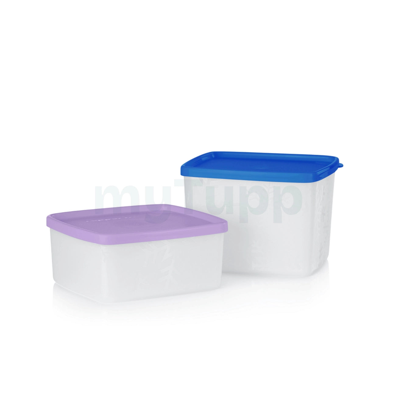 Gefrierbehälter Set Polar Stern von der Marke Tupperware / 8 Gefrierbehälter in einem Set / 3 verschiedene Größen / 4x 80ml, 2x 400ml, 2x 800ml / Hier direkt online kaufen