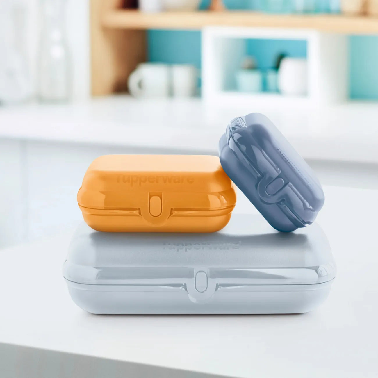 Eco+ Maxi Twin Set Oyster Boxen Trio von der Marke Tupperware / 3 Boxen in verschiedenen Farben / Perfekt Ausgerüstet für die kleine und große Stärkung Unterwegs / Perfekt zum Reisen / leicht zu Öffnen und zu Schließen / Umweltfreundlich durch vermeiden von Verpackungsmüll / super zum Transportieren / Übersicht alle 3 Boxen 3 / Hier direkt online kaufen 