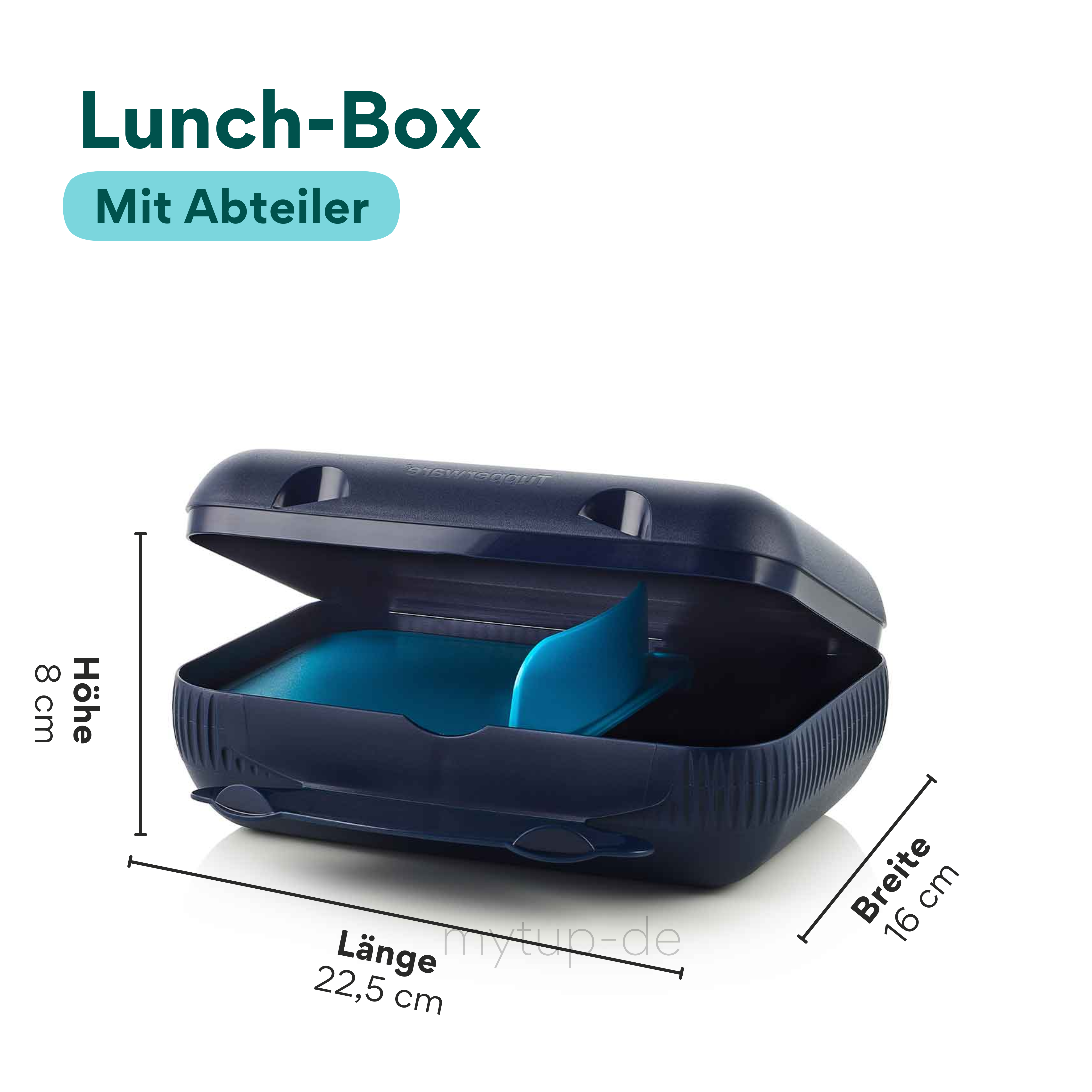 Eco+ Lunch-Box von der Marke Tupperware / in der Farbe Dunkelblau / mit Praktischen Fächern / Spülmaschinenfest / Ideal fürs Pausenbrot / Hier direkt online kaufen