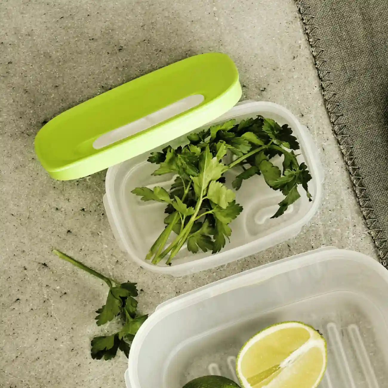 KlimaOase 375ml Frischhaltebox von der Marke Tupperware / Nachhaltig und Effizient / Verlängert die Haltbarkeit von Obst und Gemüse / Stapelbar / Einzigartiges System zur Regulierung von Luftmenge und Feuchtigkeit / mit integriertem Frischegitter gegen überschüssige Feuchtigkeit / Hier direkt online kaufen