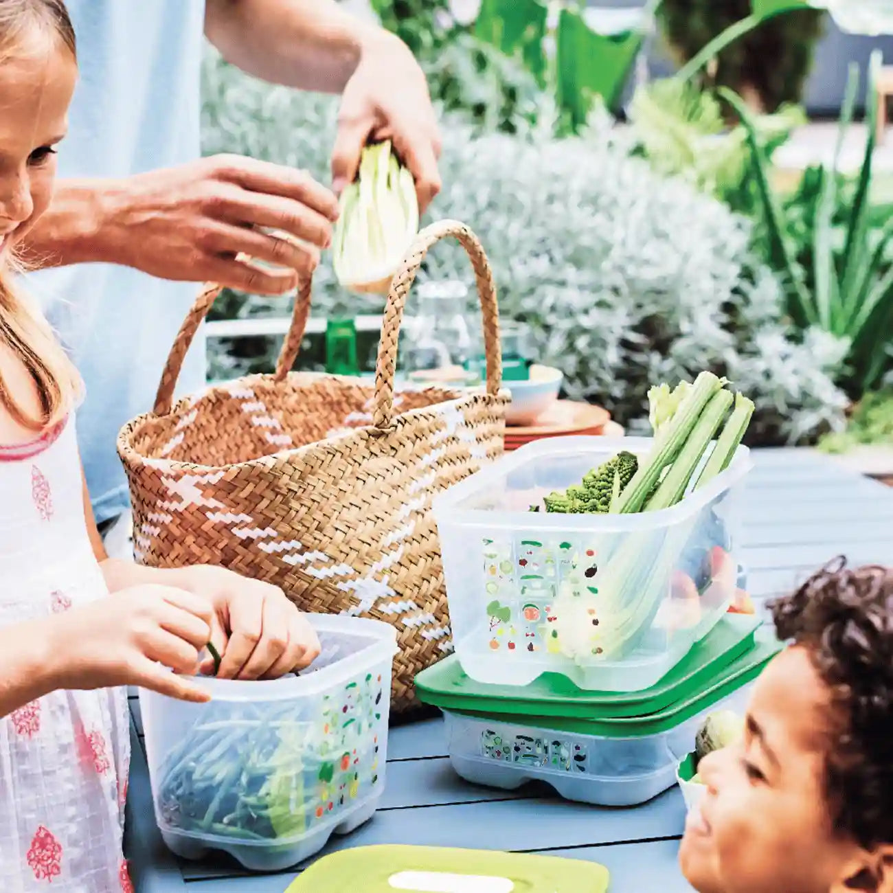 Tupperware® KlimaOase 1,8 l hoch – Frischhaltedose für Obst & Gemüse mit Klimaregler – myTupp