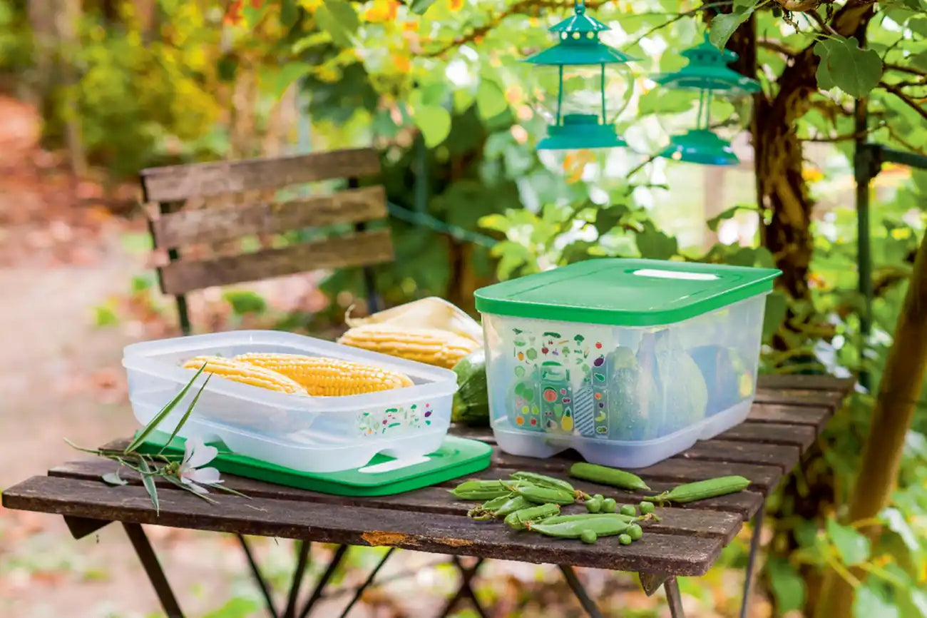 KlimaOase 1,8 L Variante Flach - Frischhaltebox von der Marke Tupperware / Ideal für langes Gemüse wie Spargel und Karotten / Nachhaltig und Effizient / Verlängert die Haltbarkeit von Obst und Gemüse / Stapelbar / Einzigartiges System zur Regulierung von Luftmenge und Feuchtigkeit / mit integriertem Frischegitter gegen überschüssige Feuchtigkeit / Hier direkt online kaufen