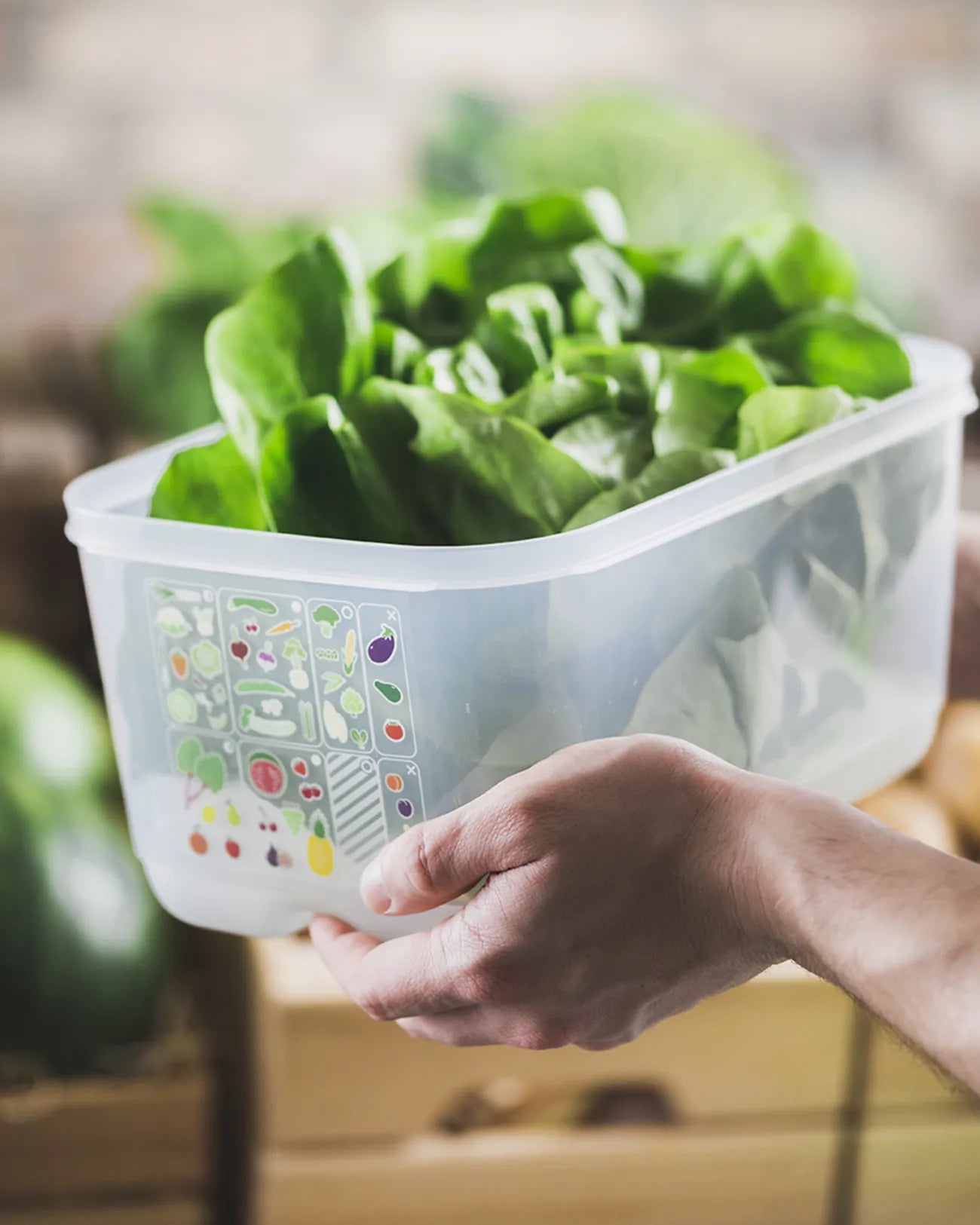 KlimaOase 4,4 L Frischhaltebox von der Marke Tupperware / Nachhaltig und Effizient / Verlängert die Haltbarkeit von Obst und Gemüse / Stapelbar / Einzigartiges System zur Regulierung von Luftmenge und Feuchtigkeit / mit integriertem Frischegitter gegen überschüssige Feuchtigkeit / Hier direkt online kaufen