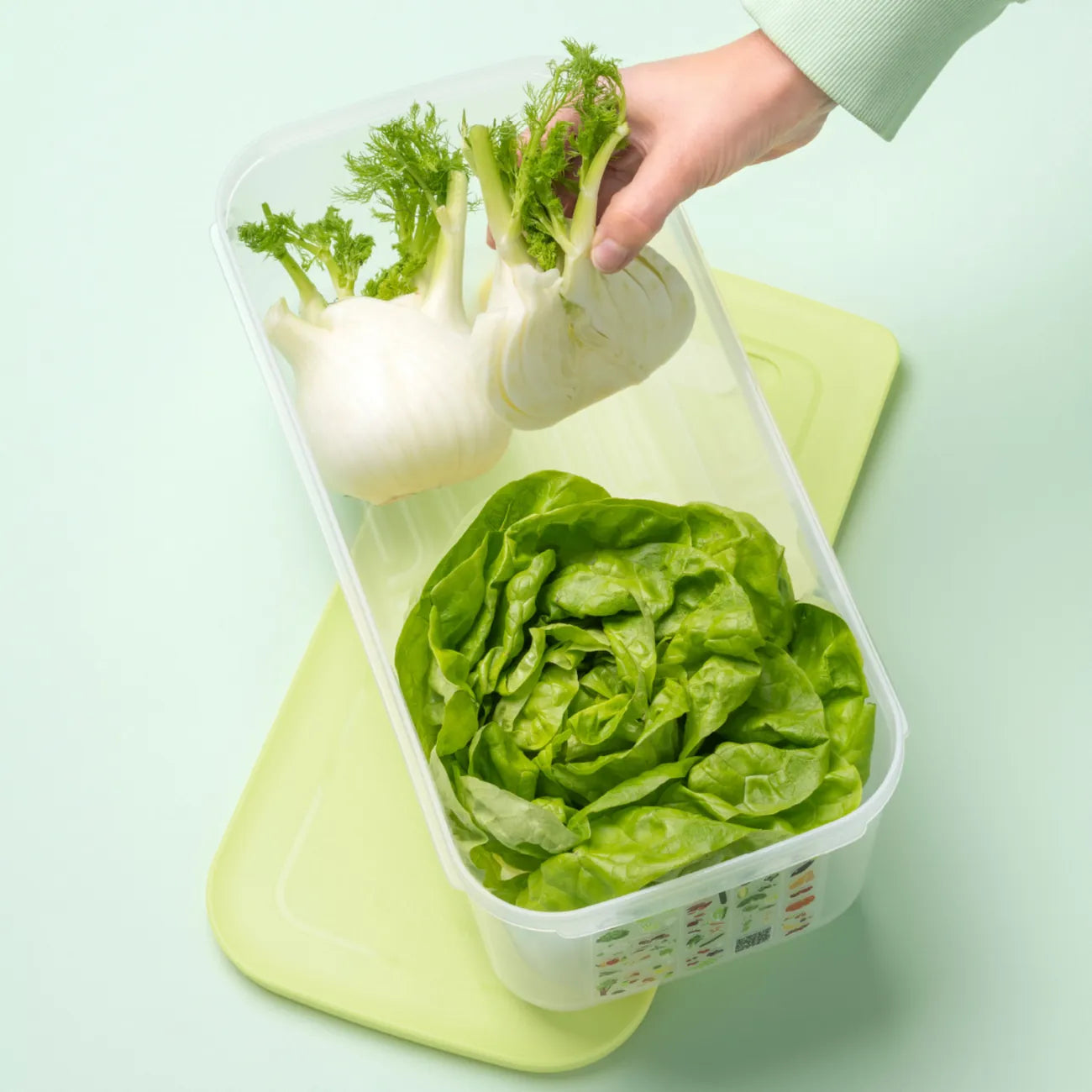 KlimaOase 6,1 L Frischhaltebox von der Marke Tupperware / Nachhaltig und Effizient / Verlängert die Haltbarkeit von Obst und Gemüse / Stapelbar / Einzigartiges System zur Regulierung von Luftmenge und Feuchtigkeit / mit integriertem Frischegitter gegen überschüssige Feuchtigkeit / Hier direkt online kaufen