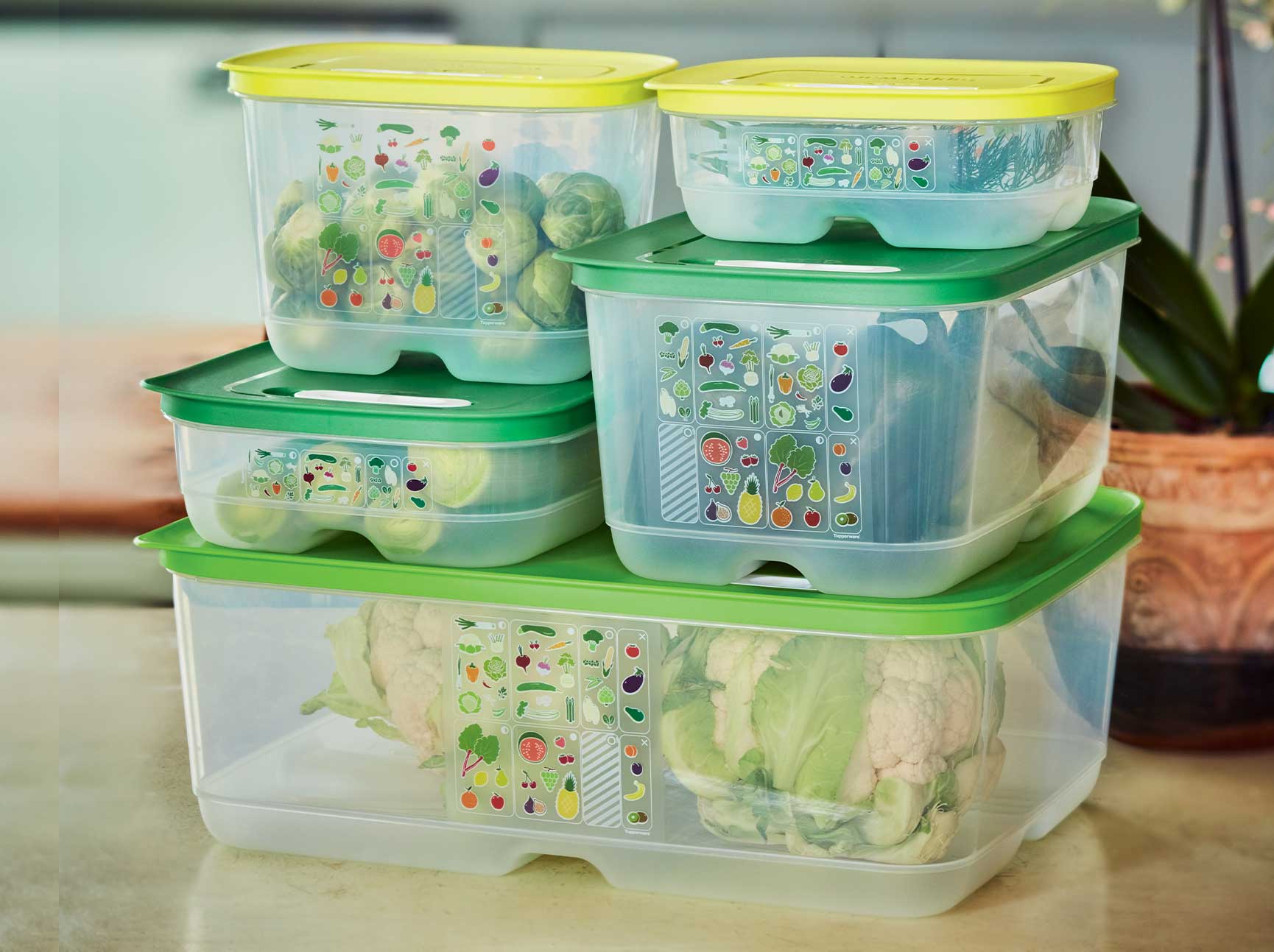 KlimaOase 9,9 L Frischhaltebox von der Marke Tupperware / Perfekt zum Aufbewahren von Großem Gemüse wie Kohl, Rhabarber, Gurken und Kürbis / Nachhaltig und Effizient / Verlängert die Haltbarkeit von Obst und Gemüse / Stapelbar / Einzigartiges System zur Regulierung von Luftmenge und Feuchtigkeit / mit integriertem Frischegitter gegen überschüssige Feuchtigkeit / Hier direkt online kaufen
