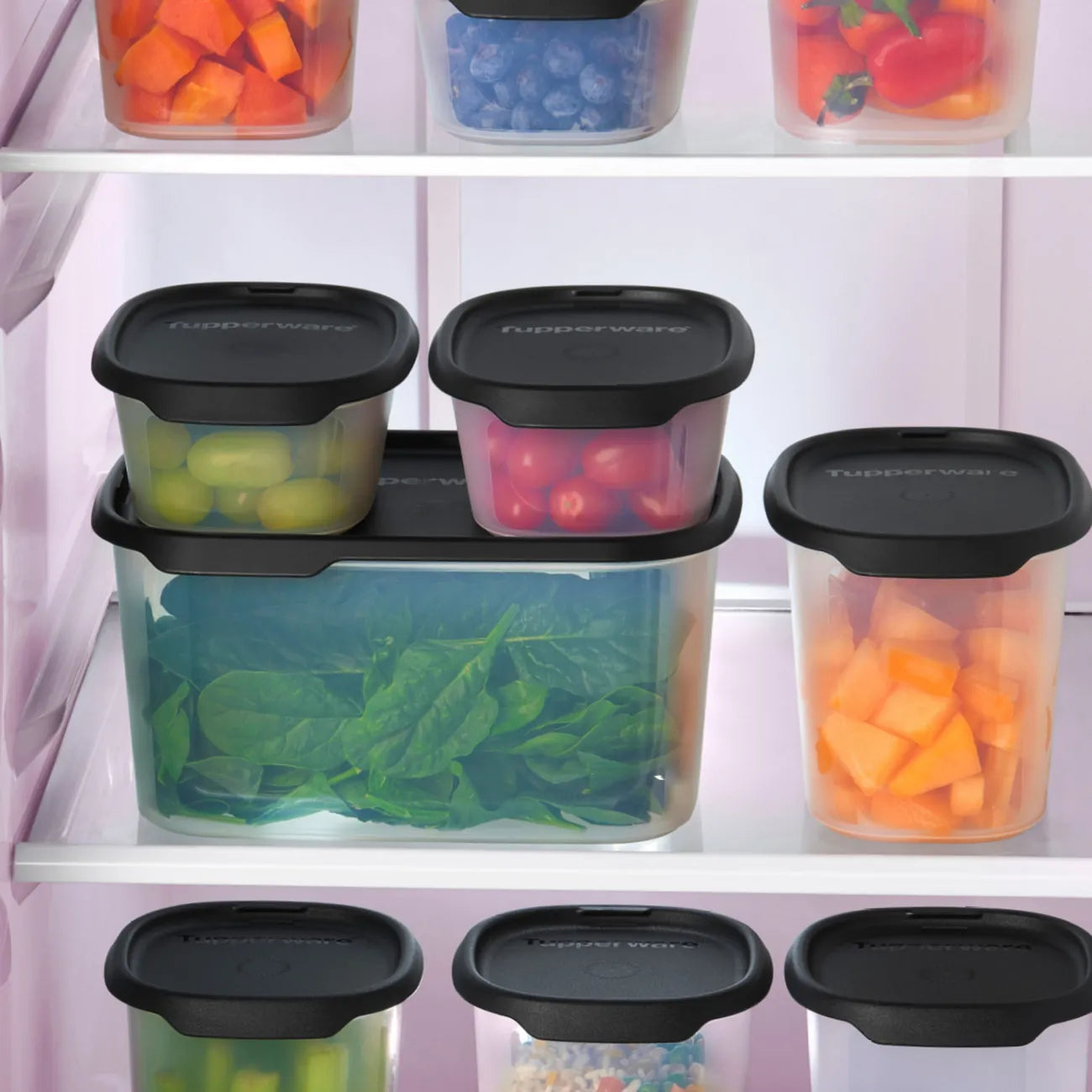 One Touch Fresh rechteckig 2,8 Liter von der Marke Tupperware / Vorratsbehälter / in der Farbe Schwarz / Aufbewahrungsbehälter / Ideal für Trockenvorräte / Luft und Wasserdicht schließend / Hier direkt online kaufen
