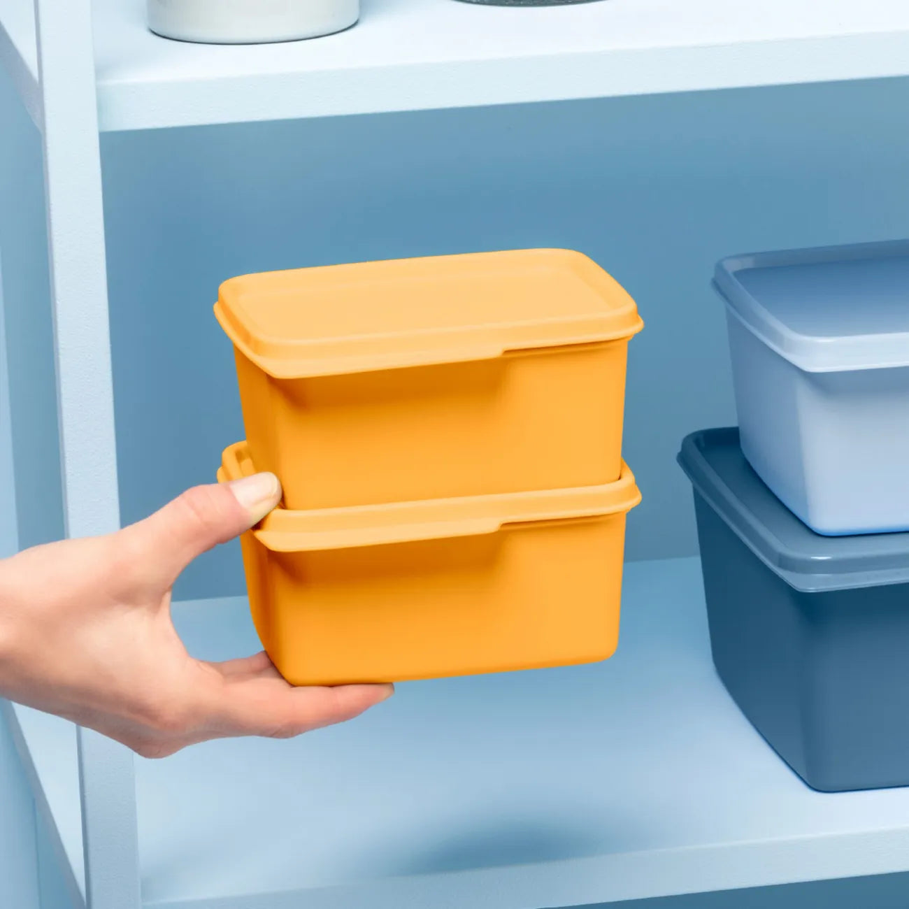 Basic Line 500ml Behälter von der Marke Tupperware / in der Farbe Orange / Aufbewahrungs- und Frischhalte Behälter / mit Lasche am Deckel zum einfachen Öffnen / für den Kühlschrank geeignet / Hier direkt online kaufen