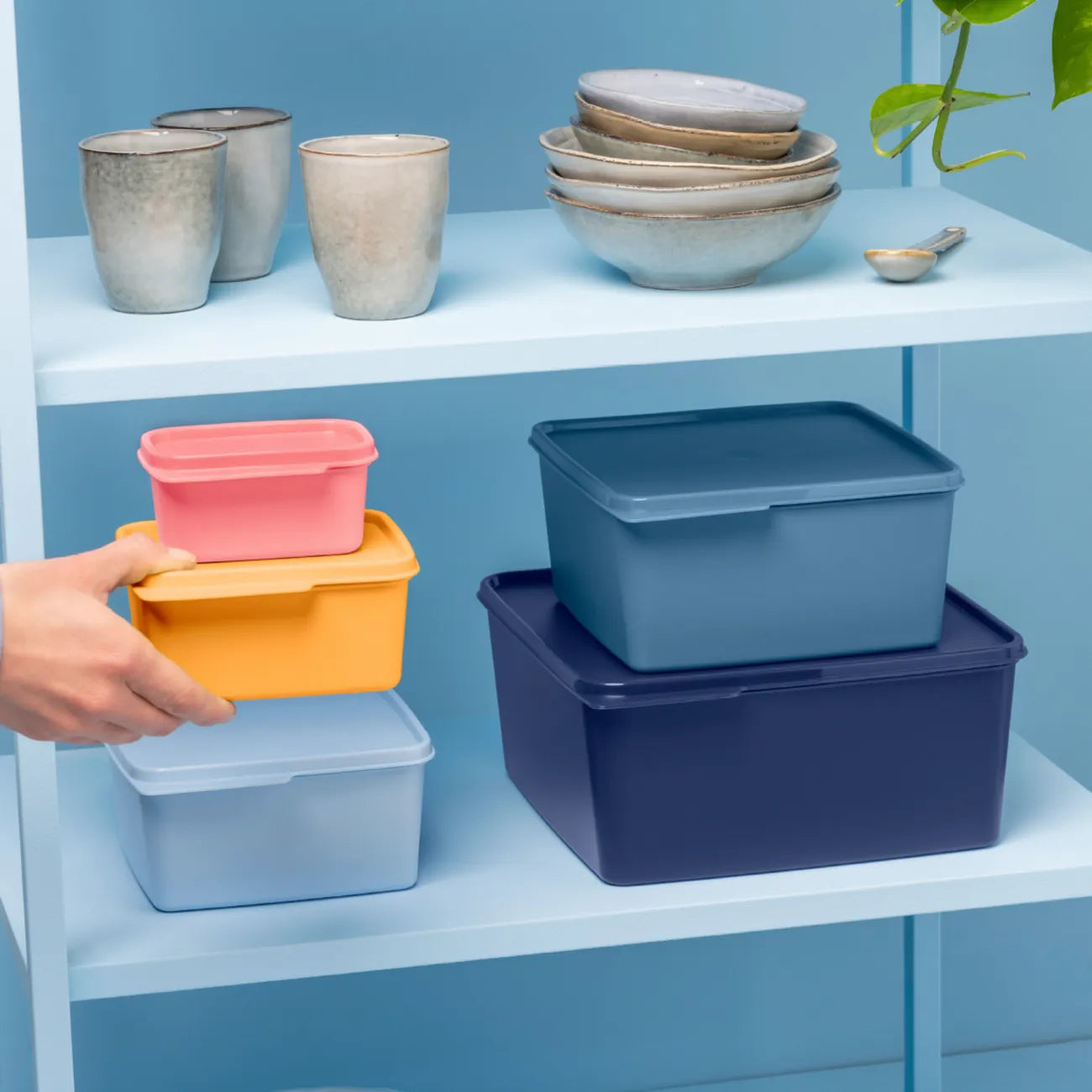 Basic Line 160ml Behälter von der Marke Tupperware / in der Farbe Rosa / Aufbewahrungs- und Frischhalte Behälter / mit Lasche am Deckel zum einfachen Öffnen / für den Kühlschrank geeignet / die Basic Line Behälter sind Platzsparend ineinander Stapelbar / Hier direkt online kaufen