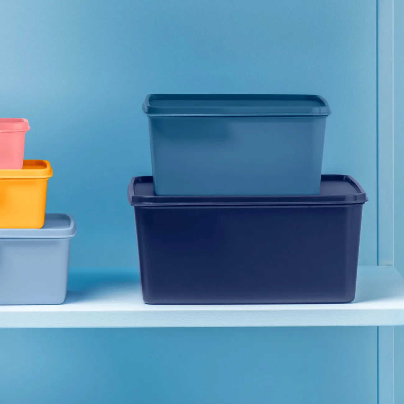 Tupperware Basic Line 5 L – Großer Frischhaltebehälter für Küche & Kühlschrank – myTupp
