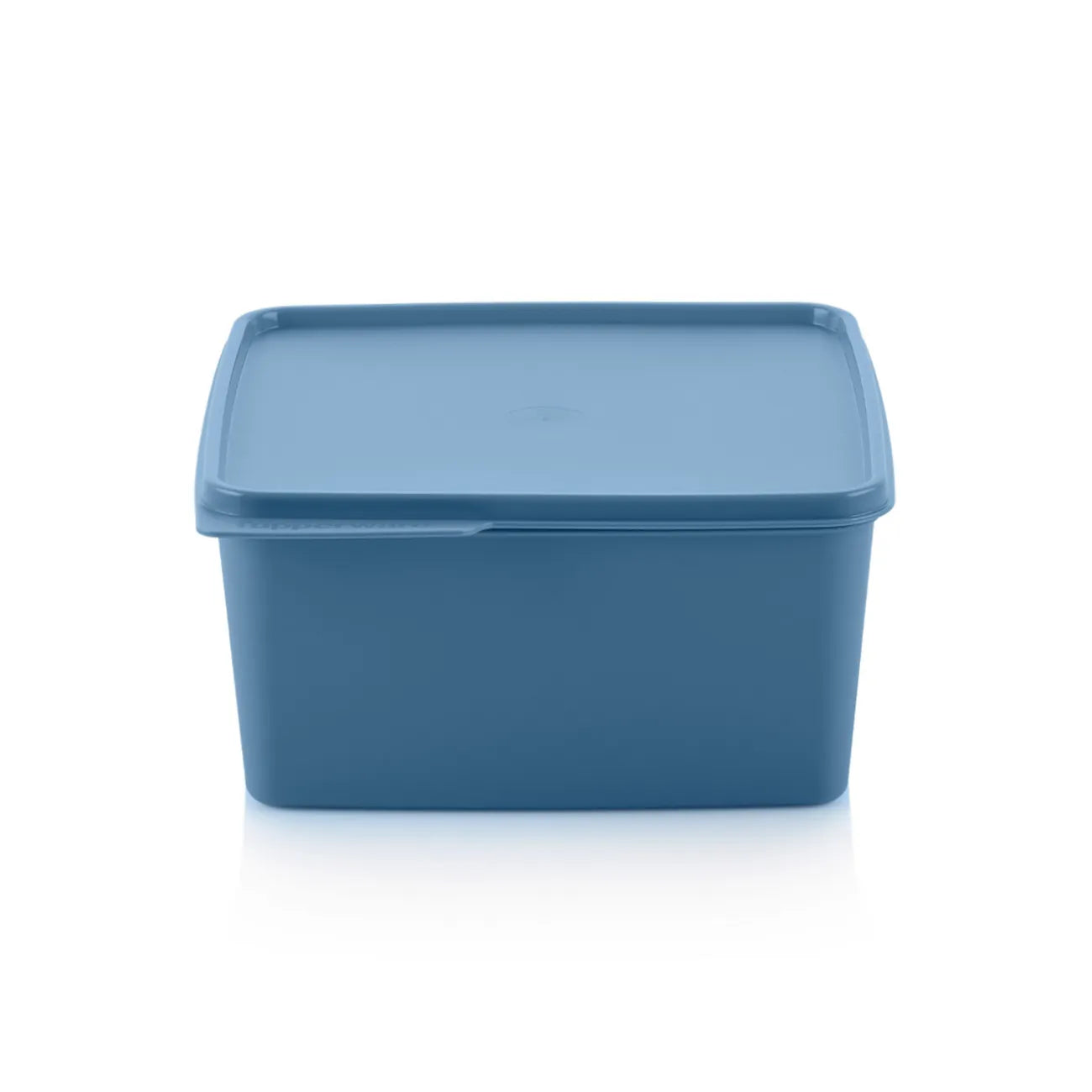 Basic Line 2,5 L blau