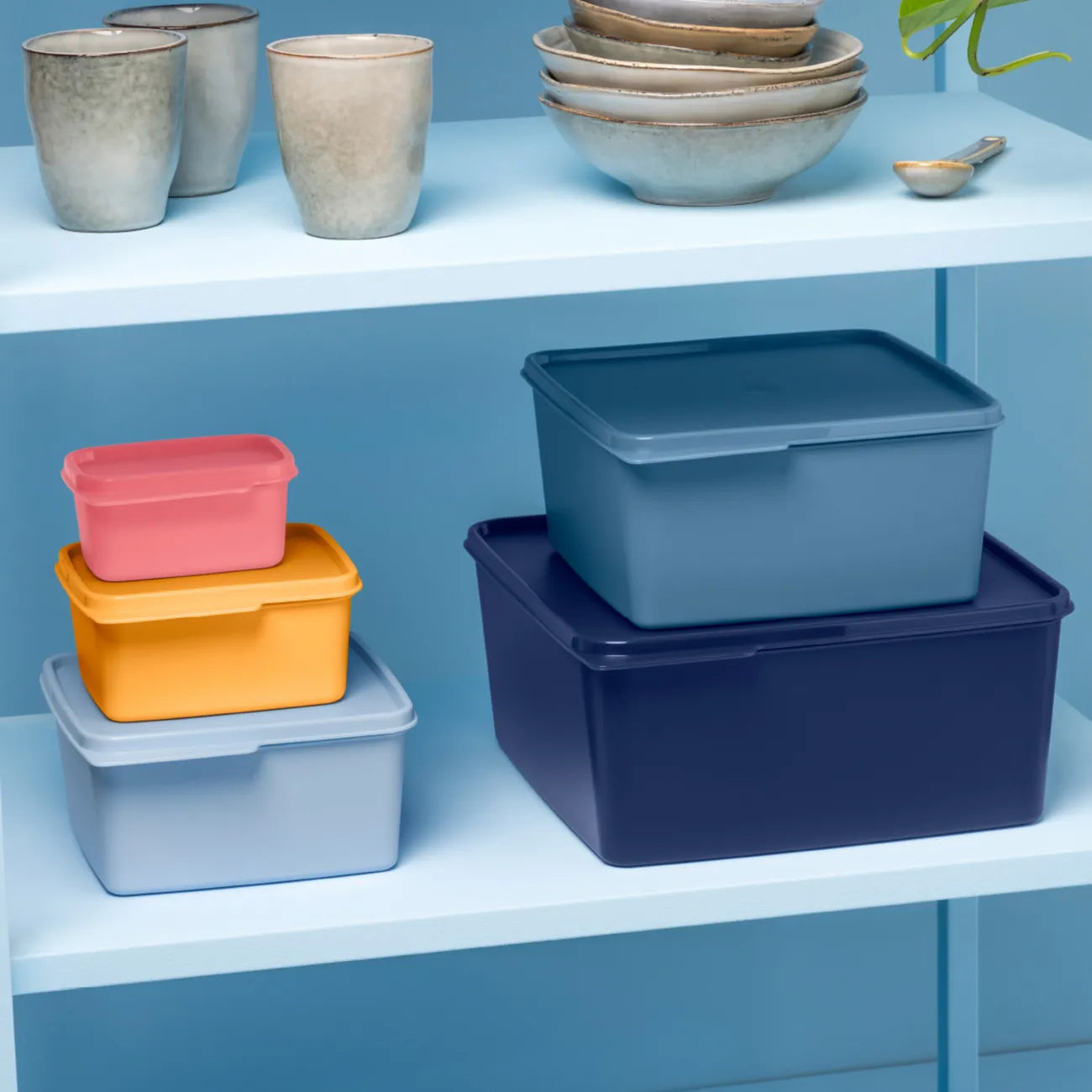 Basic Line 2,5 L blau