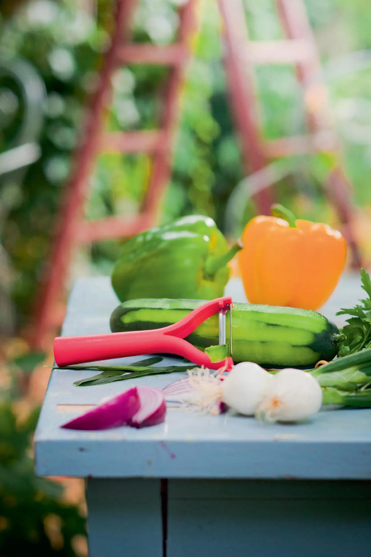 Universalschäler von der Marke Tupperware / in der Farbe Rot / mit Wellenschliff / Ideal für Obst und Gemüse / mit kleinem Ringförmigen Ausstecher / Edelstahlklinge / Hier direkt online kaufen