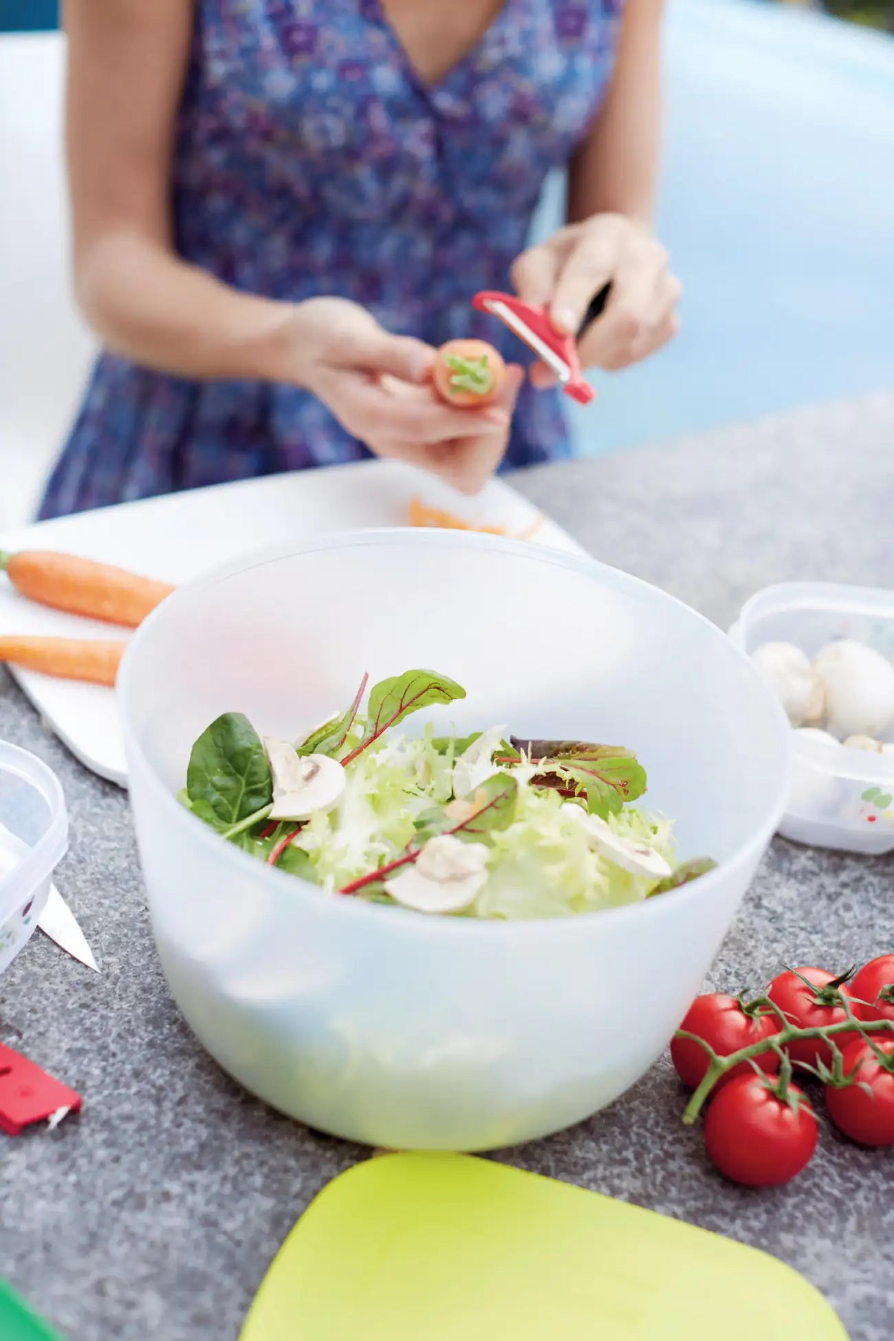 Salat Karussell 3,9 L von der Marke Tupperware / Salatschleuder, Frischhalte-/ Servierschüssel / zum Salat Schleudern, waschen und Trocknen / mit Siebeinsatz / Hier direkt online kaufen