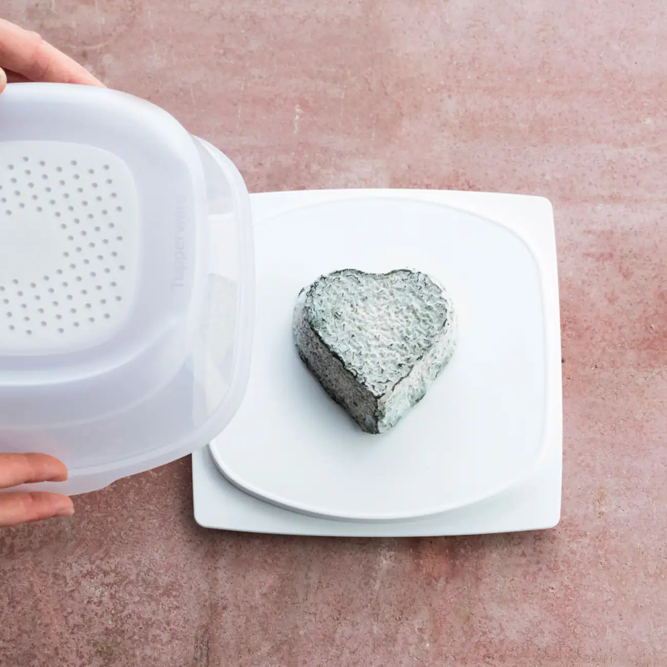 Junior KäseMax 2 von der Marke Tupperware / Frischhaltedose für Käse / mit Praktischer CondensControl / Spülmaschinengeeignet / inkl. Praktischer Servierplatte und Haubendeckel / für den Kühlschrank / Hier direkt online kaufen