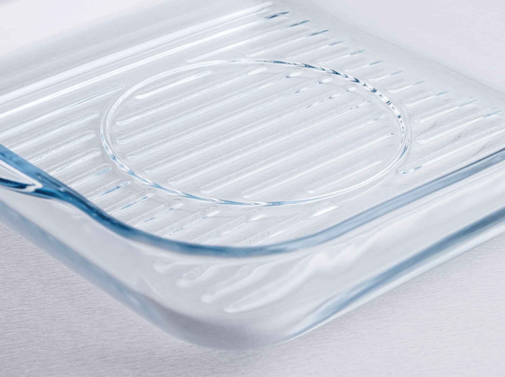 PremiaGlass Grillform 3,2 L von der Marke Tupperware / Glass Grillform / von -40° bis +300° / zum grillen, backen oder Überbacken / Ideal zum Transportieren / Hier direkt online kaufen