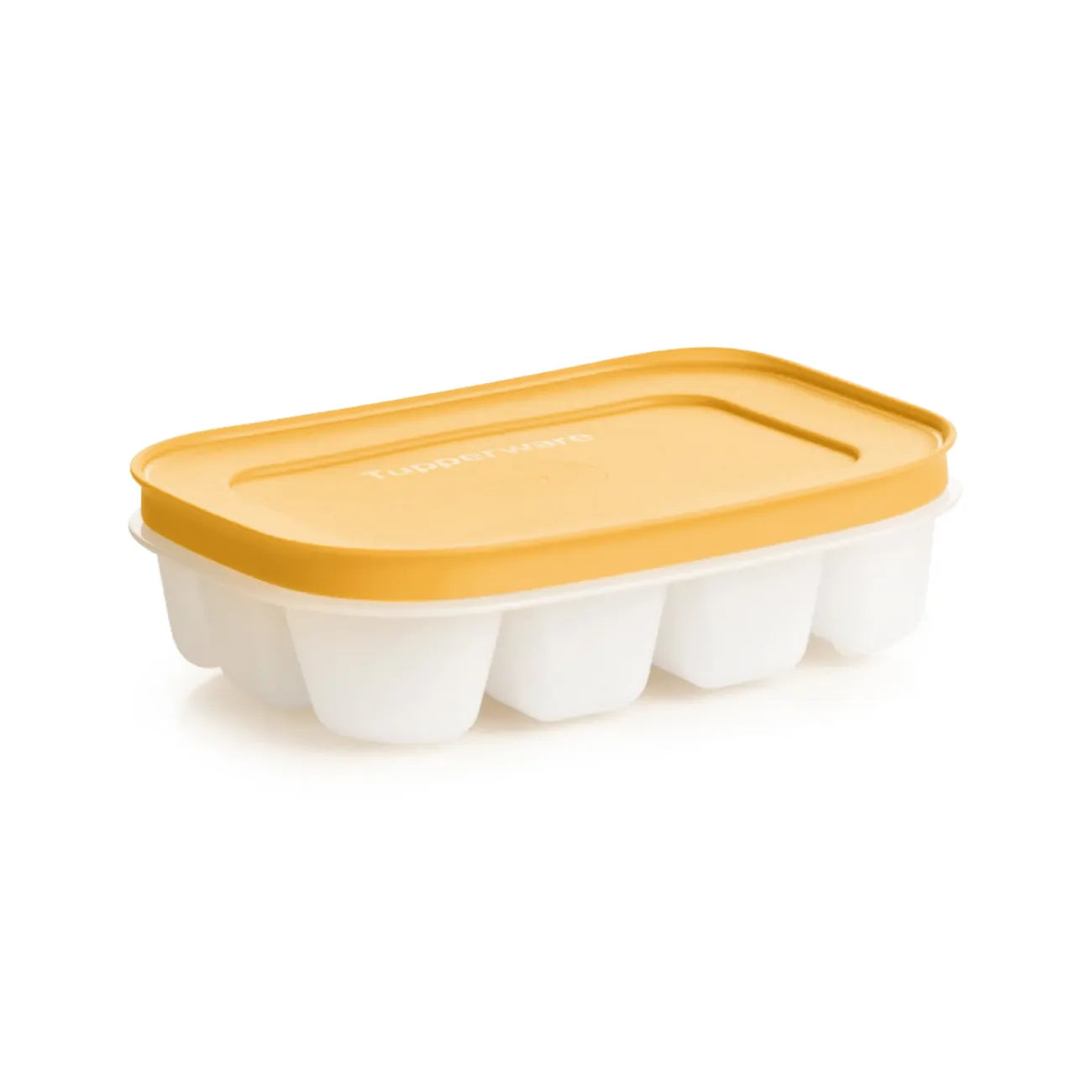 Eiswürfelbehälter Eiskristall – platzsparend & aromadicht