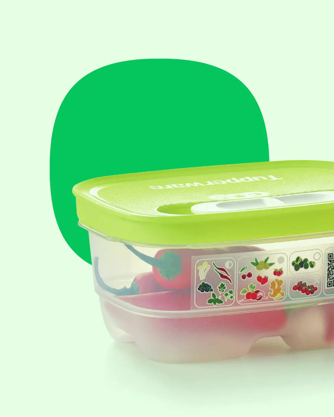 KlimaOasen  von der Marke Tupperware / Hier direkt online kaufen