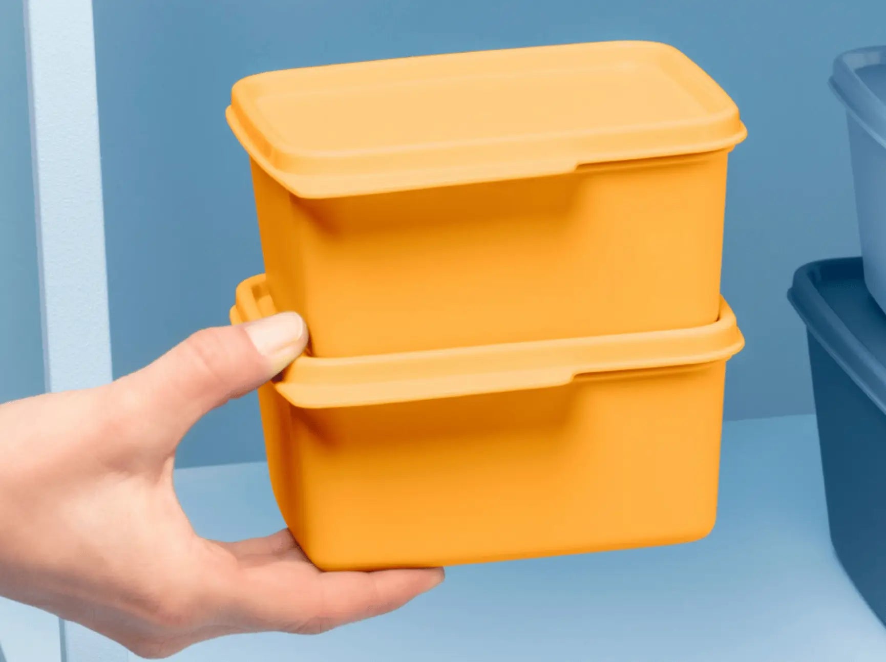 BasicLine Voratsbehälter von der Marke Tupperware / Vorrats- und Aufbewahrungsbehälter / mit Praktischer Lasche zum Öffnen / Hier direkt online kaufen