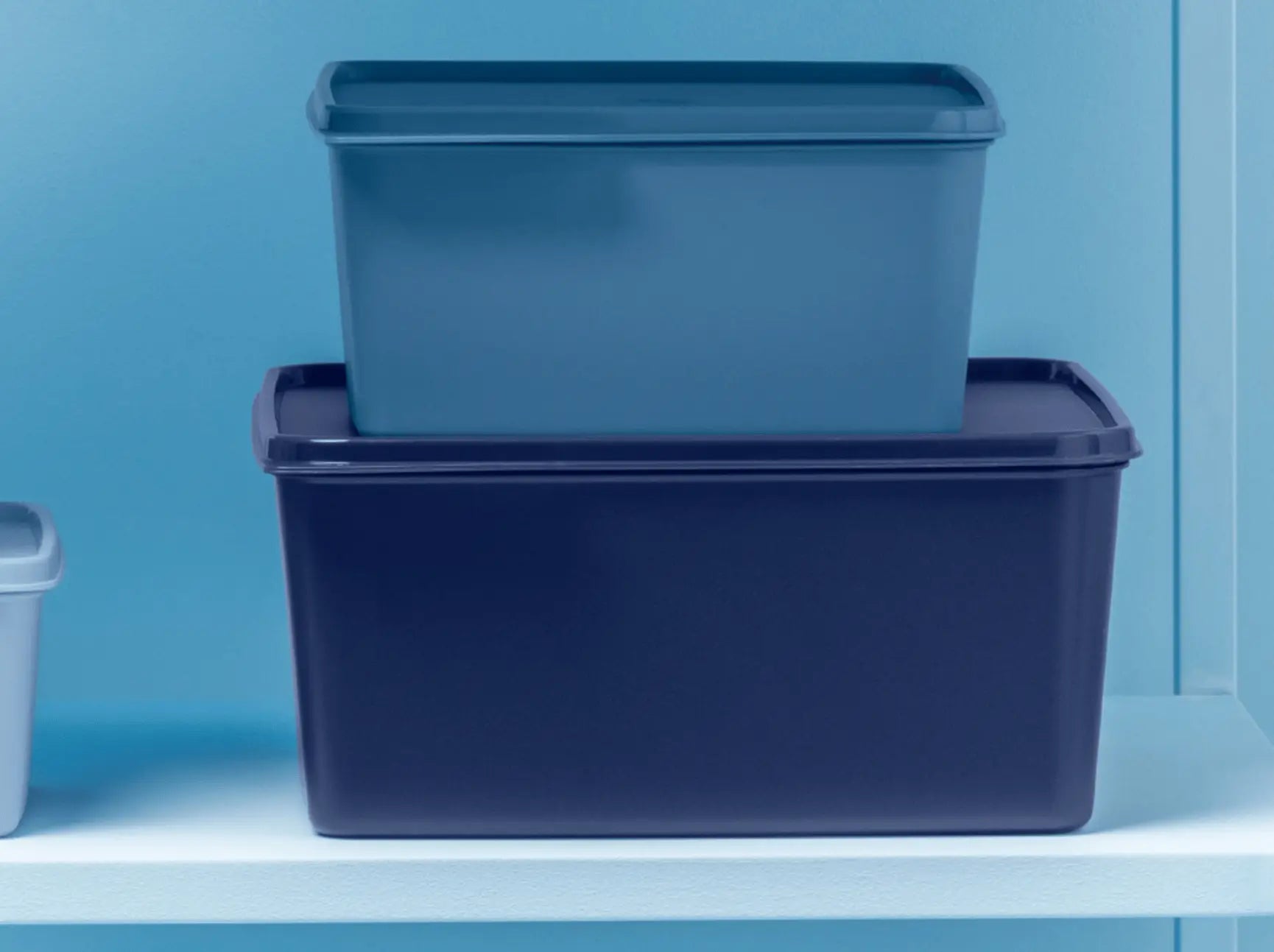 BasicLine Voratsbehälter von der Marke Tupperware / Vorrats- und Aufbewahrungsbehälter / mit Praktischer Lasche zum Öffnen / Hier direkt online kaufen