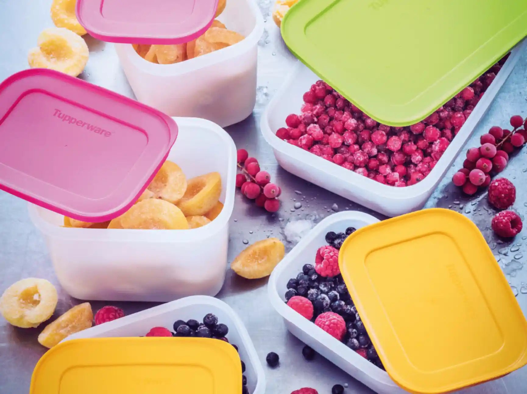 Eiskristall Behälter von der Marke Tupperware / Gefrierbehälter / modular Stapelbar / Hier direkt online kaufen