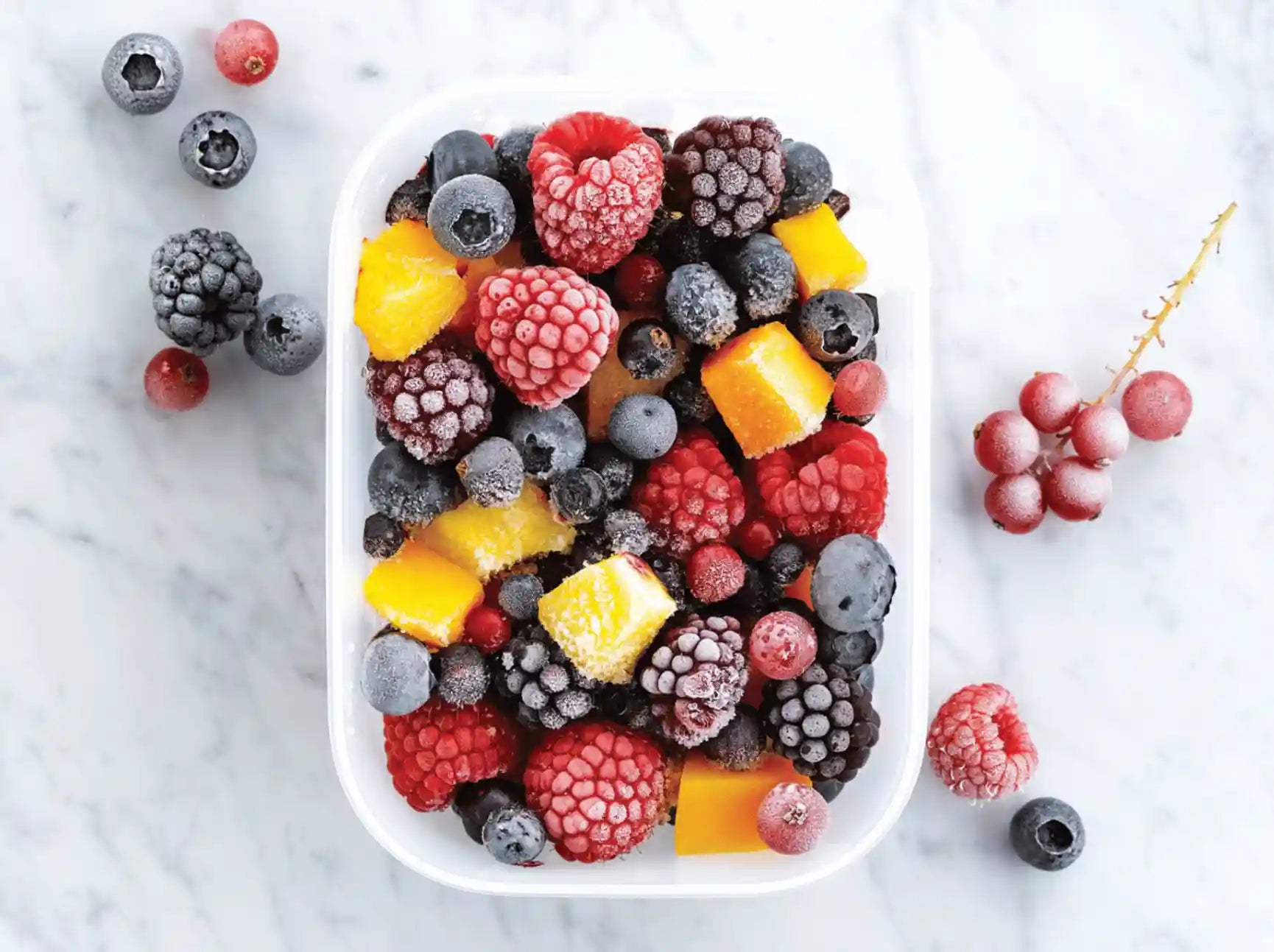 Eiskristall Behälter von der Marke Tupperware / Gefrierbehälter / modular Stapelbar / Hier direkt online kaufen