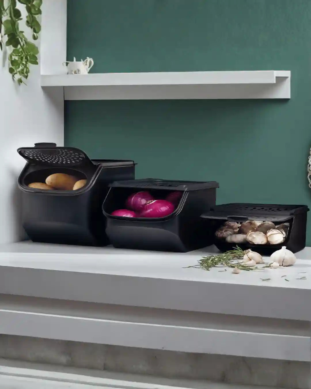 kSeo Kollektion - Lager Trio / Kartoffellager / Zwiebellager / Knoblauchlager / Hier direkt online kaufen