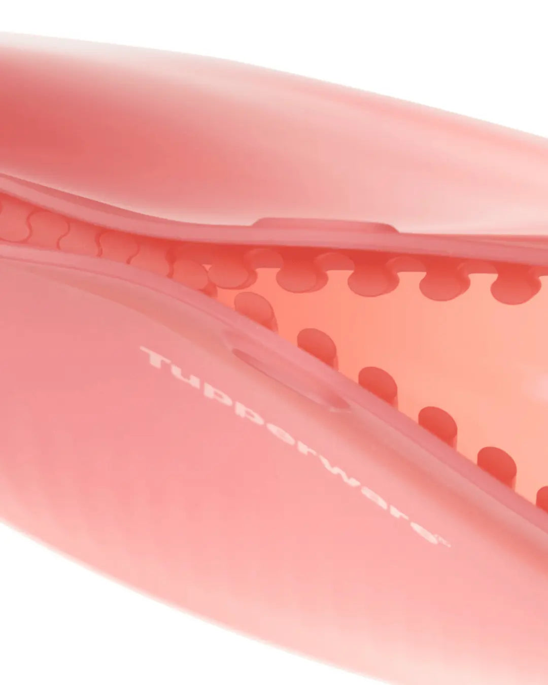 Silikon Bags von der Marke Tupperware / Frischhaltebeutel / Gefrierbeutel / Hier direkt online kaufen