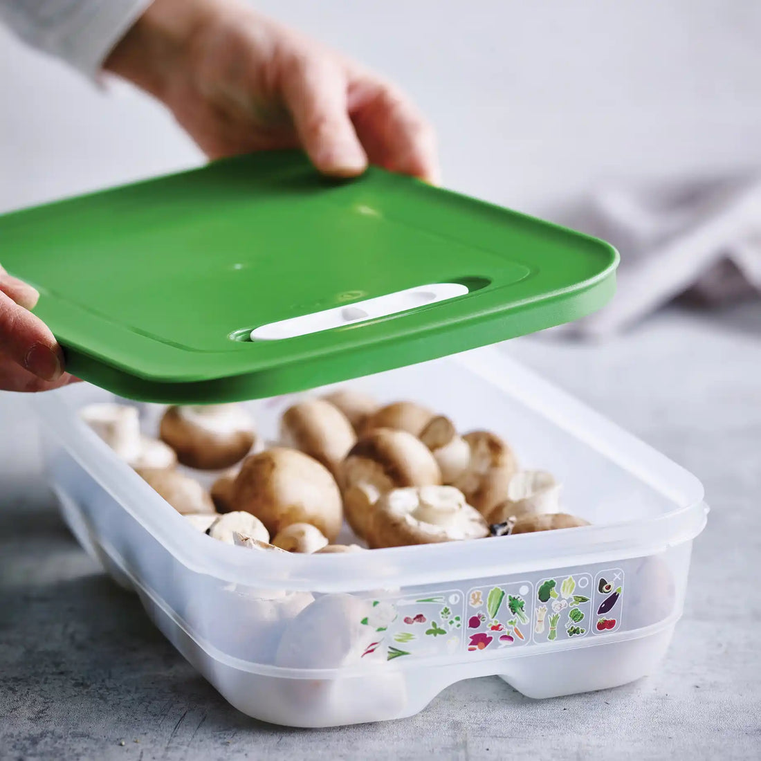 KlimaOasen von der Marke Tupperware / Frischhaltebox / für Obst und Gemüse / Modular Stapelbar / mit Klimaregler / Hier direkt online kaufen