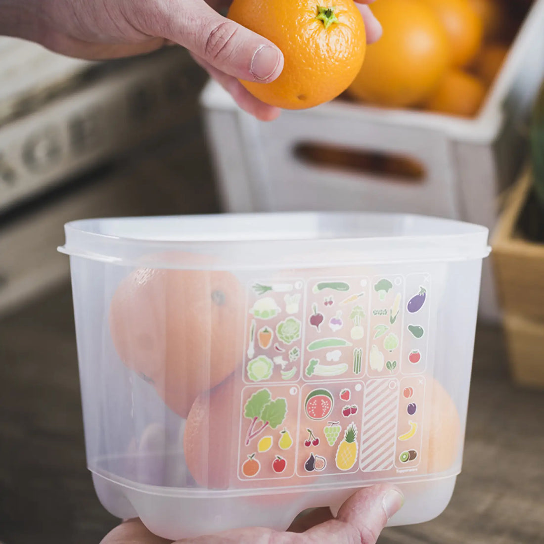 KlimaOasen von der Marke Tupperware / Frischhaltebox / für Obst und Gemüse / Modular Stapelbar / mit Klimaregler / Hier direkt online kaufen