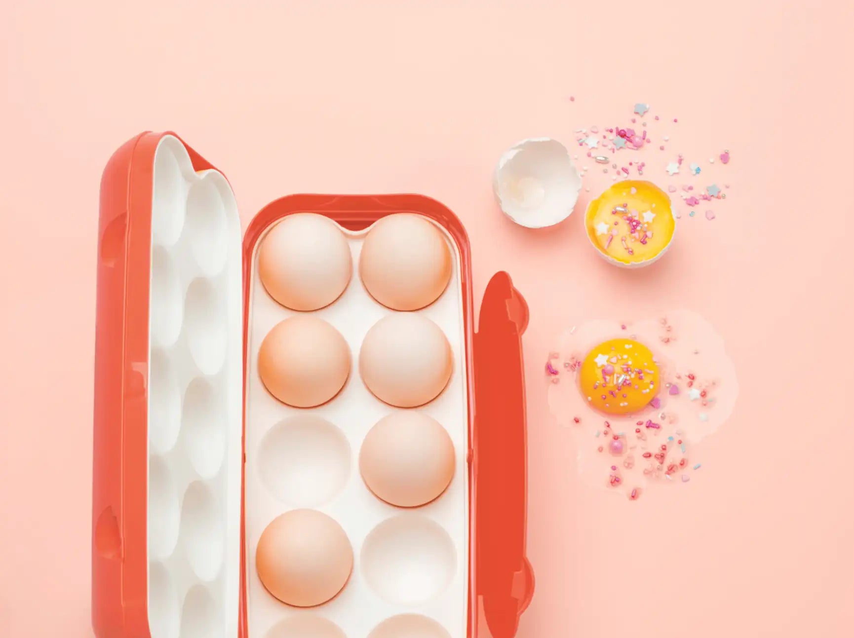 pSeo Eierbox- Kolumbus / 10er Box / nachhaltig und Umweltfreundlich / Eier box für in den Kühlschrank