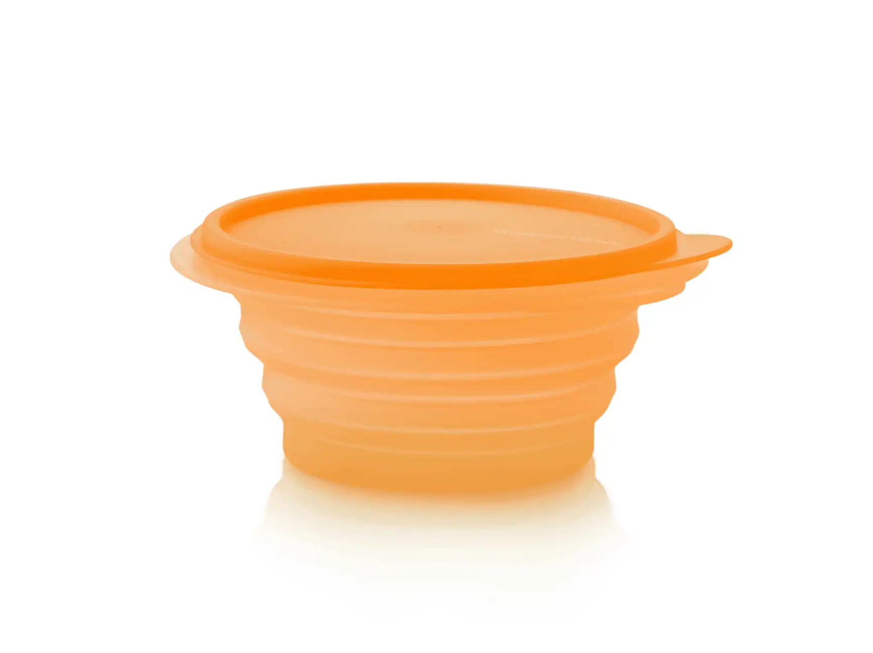 pSeo Mini Max Schale / zusammenfaltbar / Ideal für Unterwegs / Picknickbox / Lunchbehälter 